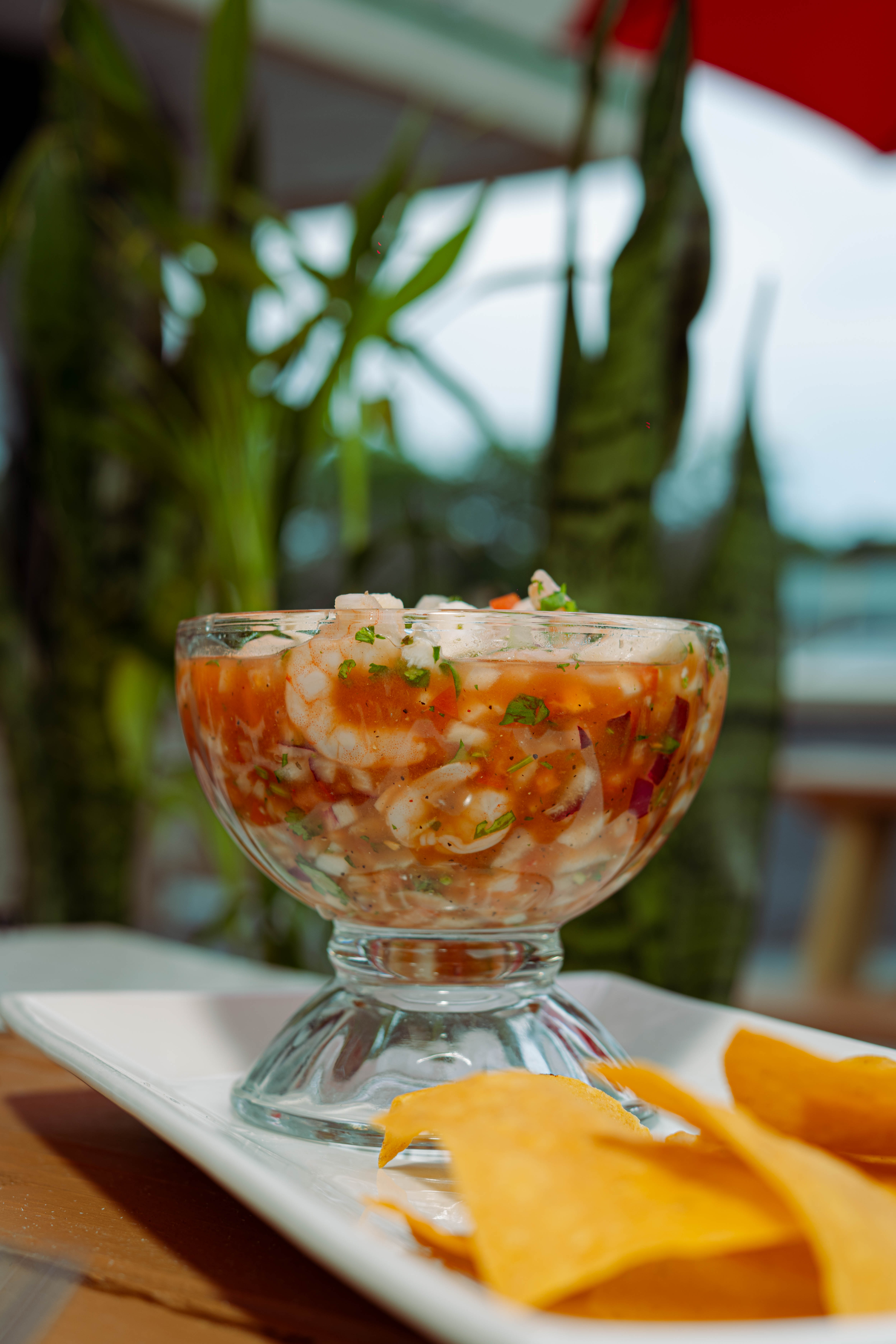 Mixed seafood ceviche